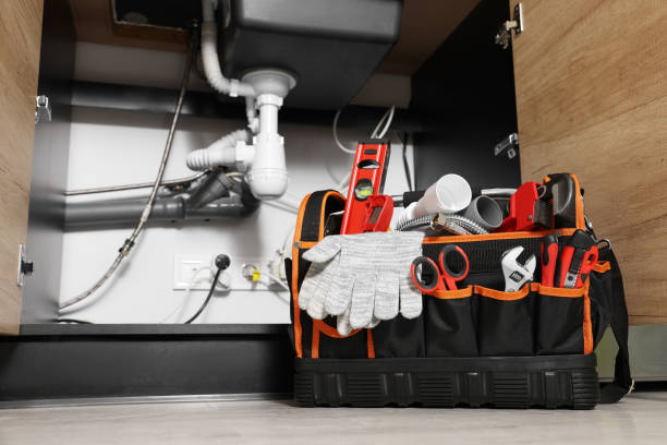 Best Clogged Drain Plumber  in Briggs, OK